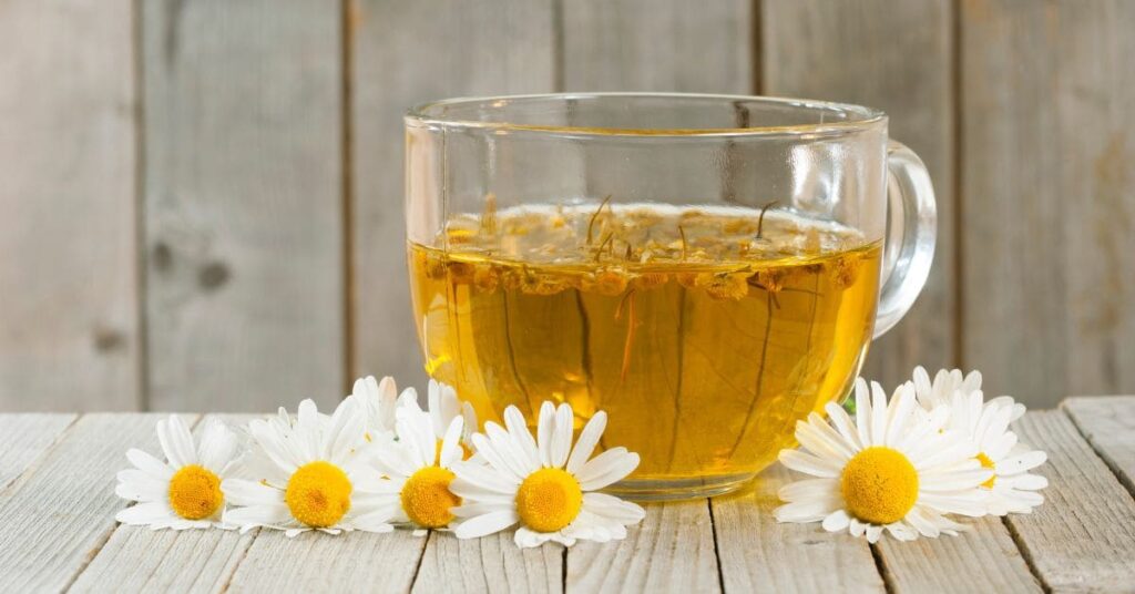 Trà hoa cúc có thể giúp kiểm soát tiểu đường? Nghiên cứu bất ngờ từ thuốc nhuộm thế kỷ 19