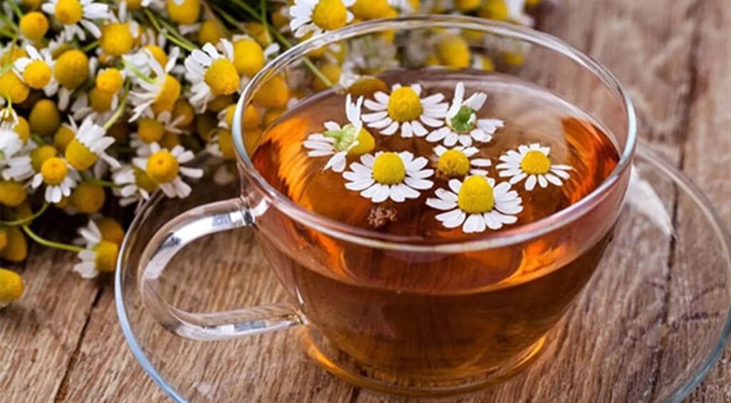 Trà hoa cúc có thể giúp kiểm soát tiểu đường? Nghiên cứu bất ngờ từ thuốc nhuộm thế kỷ 19