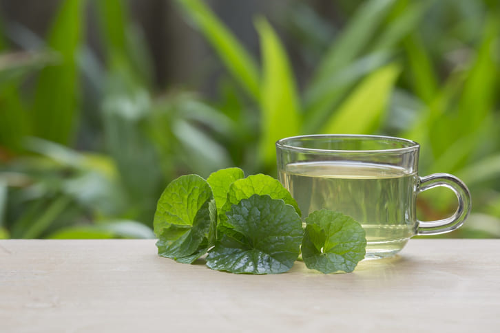 Rau má giúp cải thiện trí nhớ và sức khỏe tinh thần