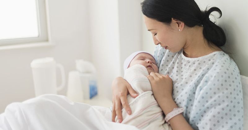 Tác dụng của cây đinh lăng, chiếc lá kỳ diệu của y học 8 Bồi bổ sức khỏe cho sản phụ và phụ nữ sau sinh