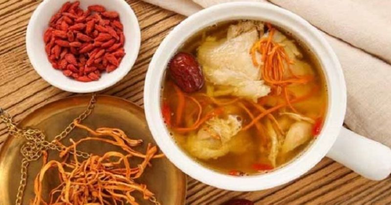 Cách Dùng Và Liều Dùng Đông Trùng Hạ Thảo