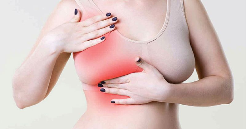 Tác dụng của cây đinh lăng, chiếc lá kỳ diệu của y học 9 Chữa tắc tia sữa sau sinh