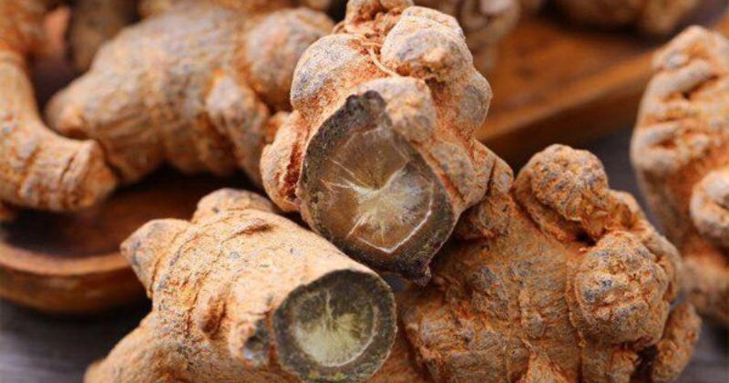 Công Dụng Củ Tam Thất: Thần Dược Từ Thiên Nhiên Cho Sức Khỏe 1 Công Dụng Củ Tam Thất_ Thần Dược Từ Thiên Nhiên Cho Sức Khỏe