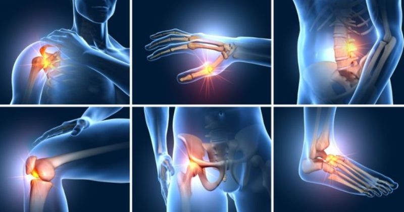 Tác dụng của cây đinh lăng, chiếc lá kỳ diệu của y học 5 Giảm đau lưng, đau nhức xương khớp