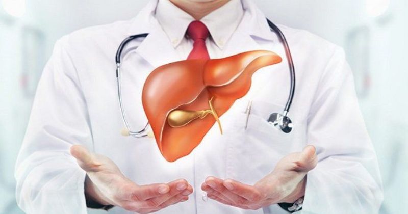 Hỗ Trợ Điều Trị Viêm Gan Mãn Tính và Các Bệnh Liên Quan