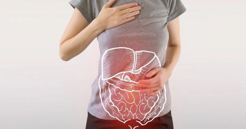 Tác dụng của cây đinh lăng, chiếc lá kỳ diệu của y học 6 Hỗ trợ tiêu hóa và chữa ngộ độc thức ăn