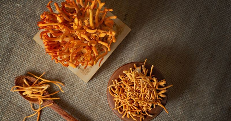 Lựa Chọn Đông Trùng Hạ Thảo Chất Lượng
