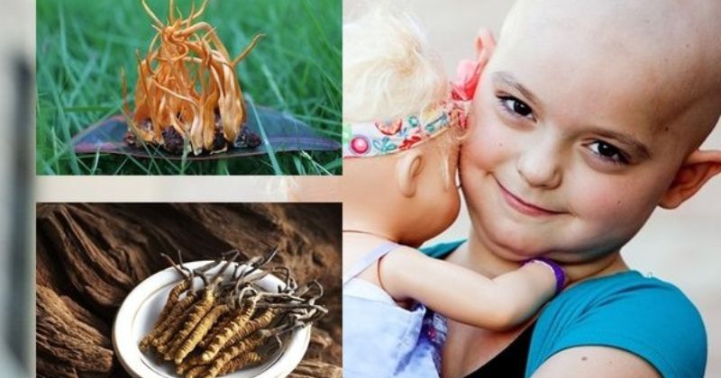 Ngăn Ngừa và Hỗ Trợ Điều Trị Ung Thư
