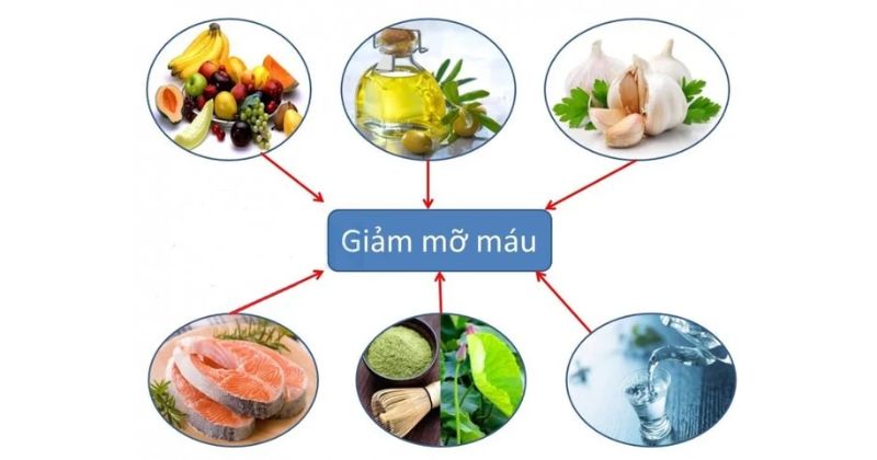 Mỡ Trong Máu: Nguy Cơ Tiềm Ẩn Và Cách Phòng Ngừa Hiệu Quả 8 Phòng Tránh Máu Nhiễm Mỡ