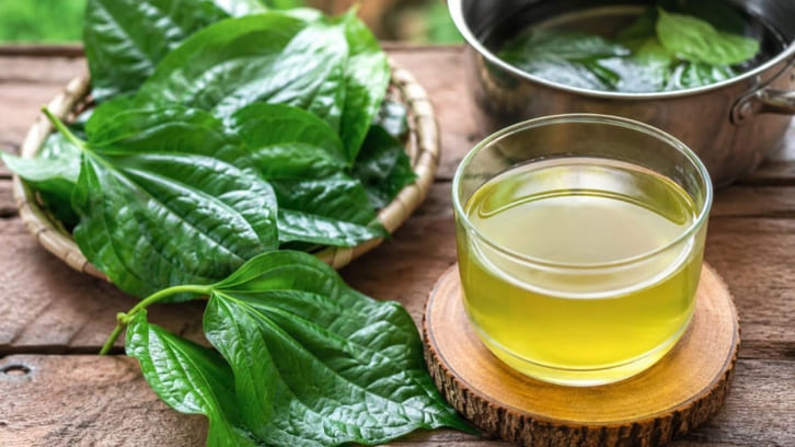 Cách dùng lá lốt hỗ trợ sức khỏe gan