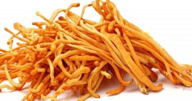 đông trùng hạ thảo Sấy Thăng Hoa