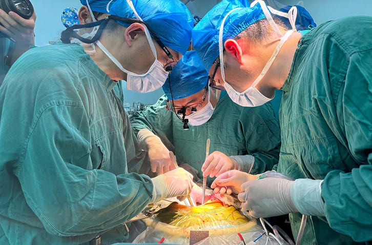 Lần đầu ghép cùng lúc gan và thận lợn biến đổi gene cho người