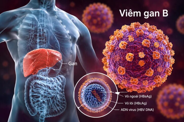 Viêm gan B, C: Những thay đổi cần biết năm 2026 2 Những điểm mới trong chẩn đoán và điều trị viêm gan B