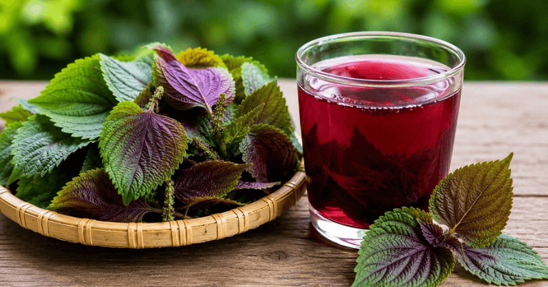 Cách sử dụng lá tía tô trong ăn uống